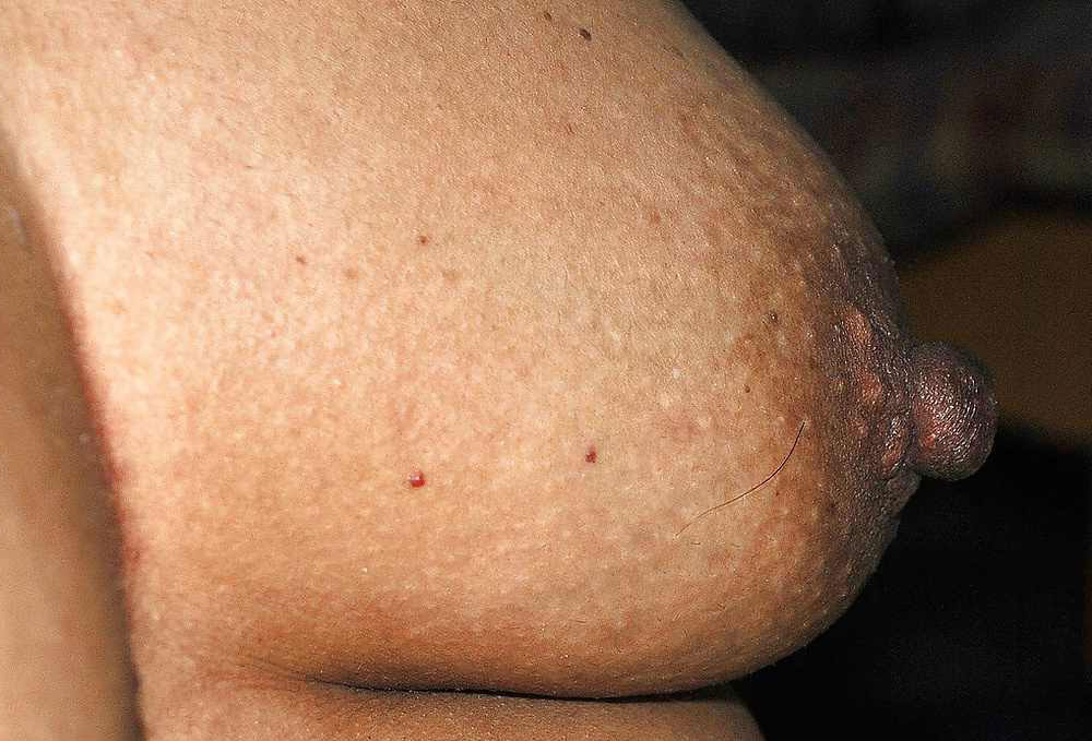 Gorgeous Desi Girls Full Nude Private XXX Photos - photo 25